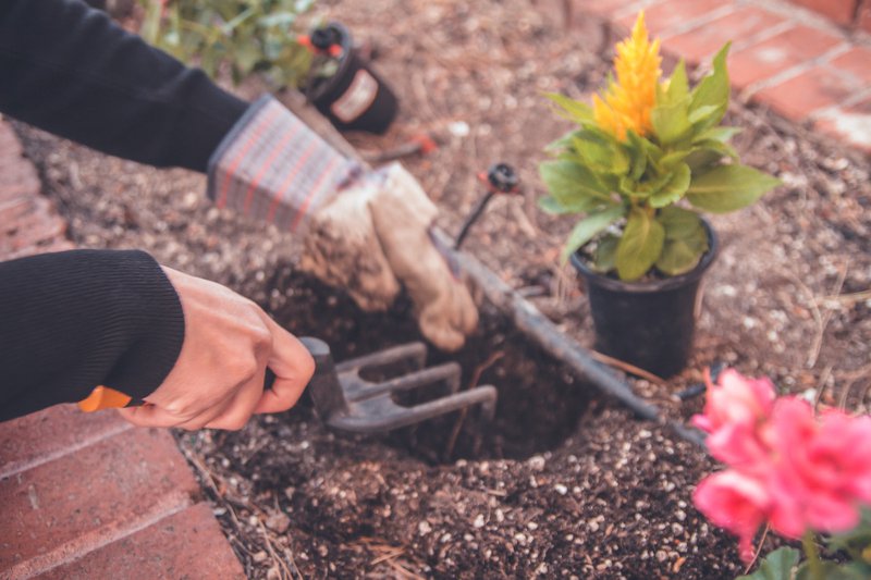 Jardinería