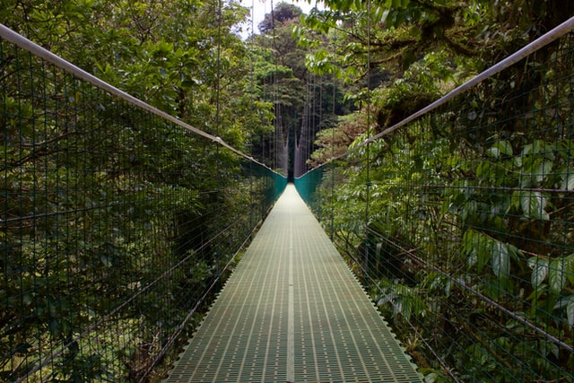 Bosques lluviosos de Monteverde Itinerario de Costa Rica