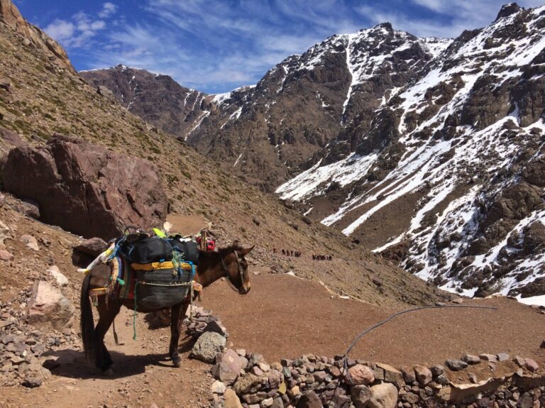 La caminata de Imlil al Refugio Mouflons