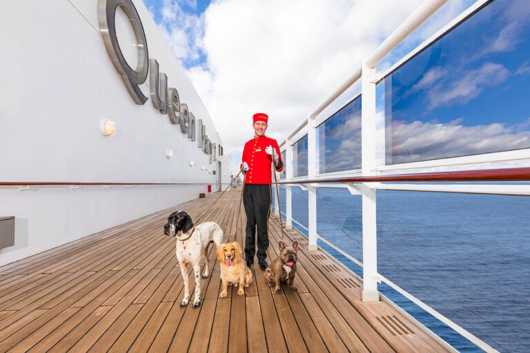 ¿Se permiten perros en los cruceros?  Aquí hay cruceros que admiten mascotas.