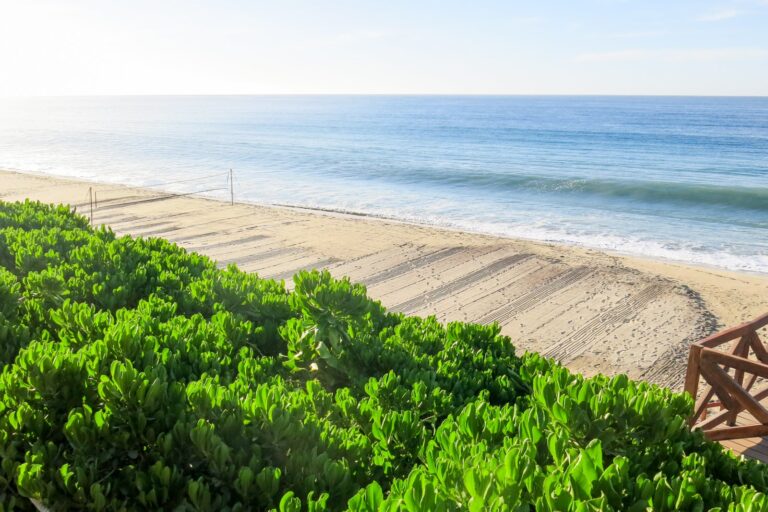 7 cosas que debes saber antes de reservar una estadía en Secrets Puerto Los Cabos Golf & Spa Resort