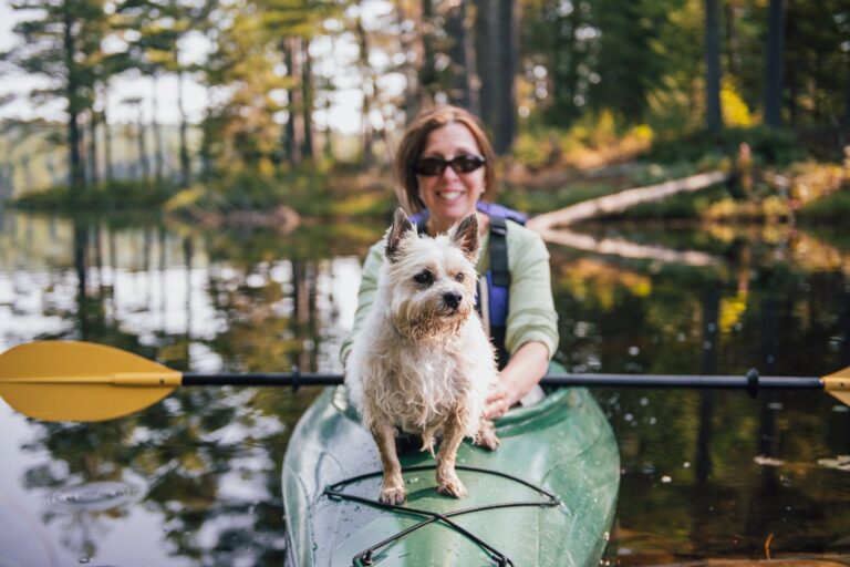 Política de mascotas de United Airlines: cómo viajar con un perro o un gato