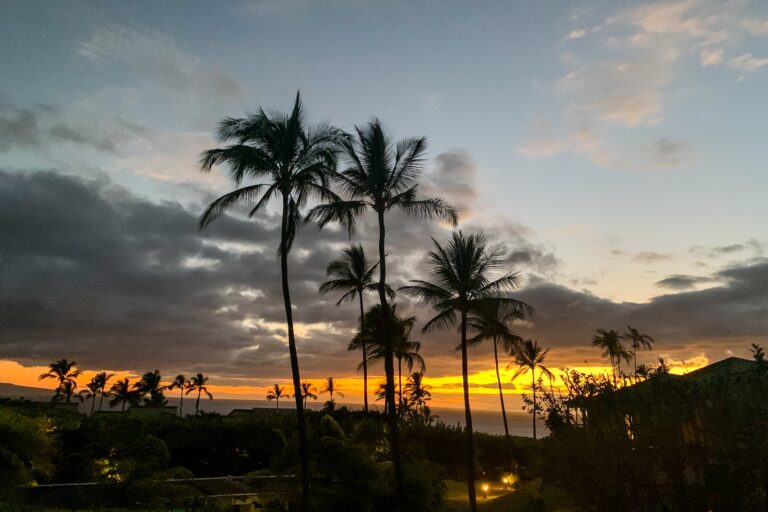 Sáltelo: una reseña del destino de Hyatt Wailea Ekolu Village en Hawái