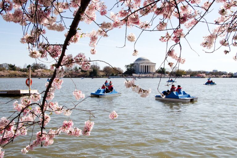 Cómo aprovechar al máximo un día en Washington, DC