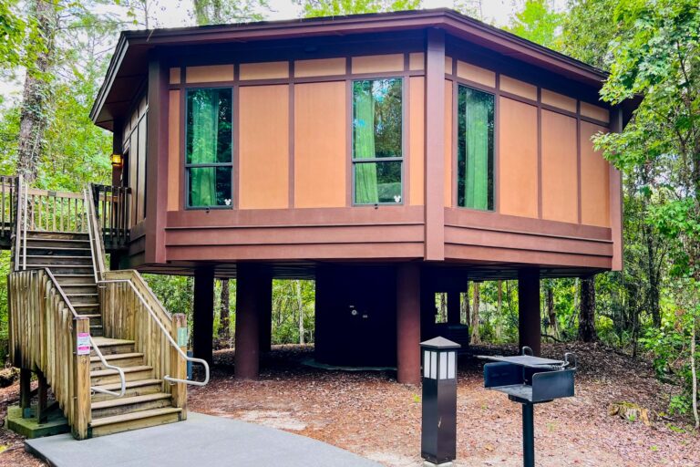 Una joya escondida a plena vista: cómo es Treehouse Villas de Disney World