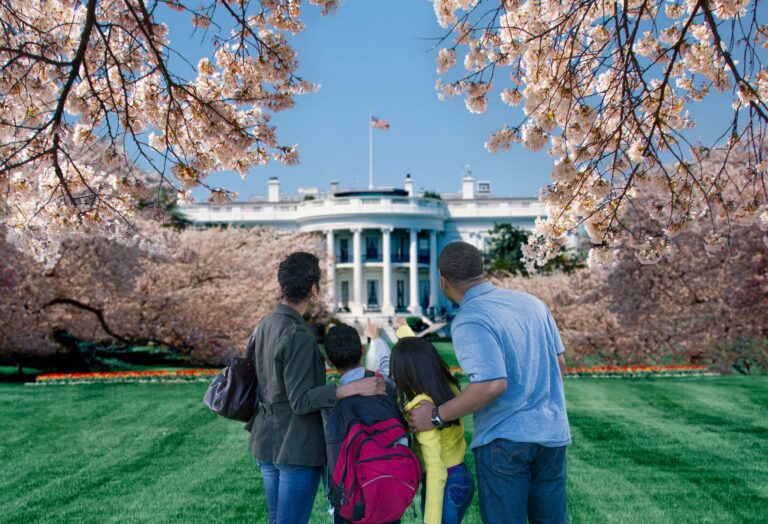 Las mejores cosas que hacer en DC para familias con niños de diferentes edades