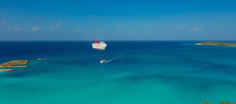¿Qué es la licitación de cruceros?