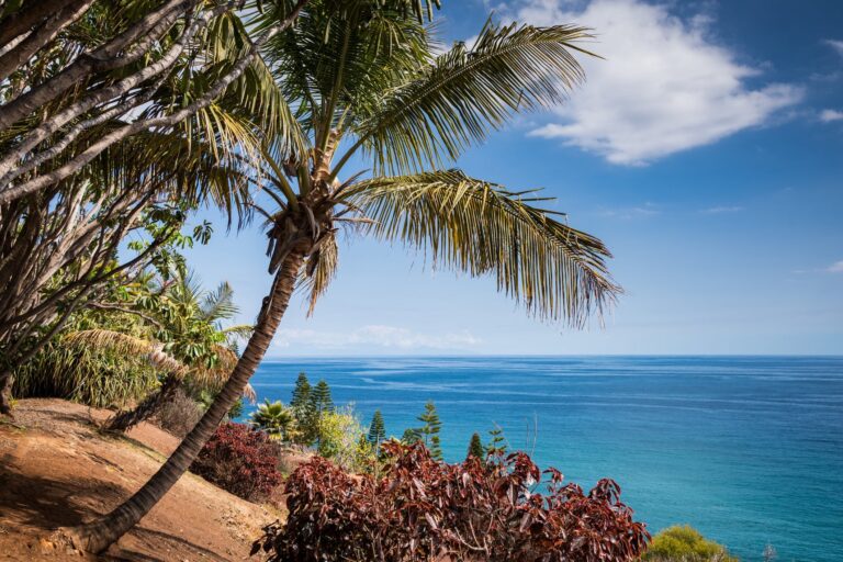 Tu guía de vacaciones en Tenerife, Islas Canarias