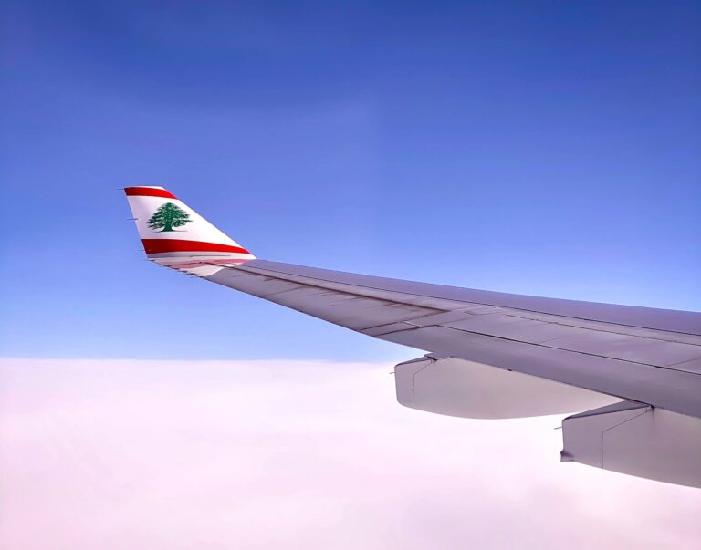Reseña en video del vuelo: aerolíneas de negocios y económicas de Middle East Airlines