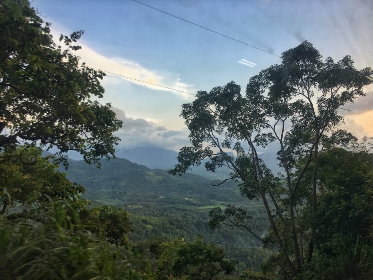 Reseña: Ferrocarriles de Sri Lanka en segunda clase de Kandy a Ella