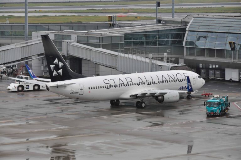 Miles & More: acumule millas de premio con vuelos de Star Alliance