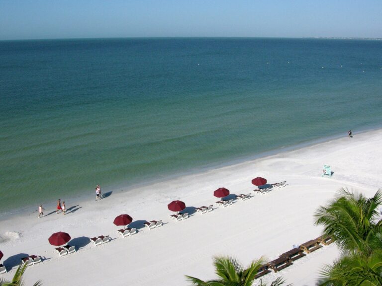 Lleve a la familia a Ft. Myers y Sanibel Island: aquí le mostramos cómo.