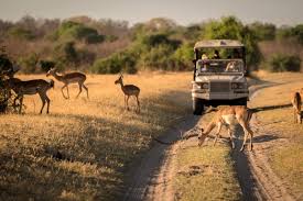 Guía para viajar a Botsuana