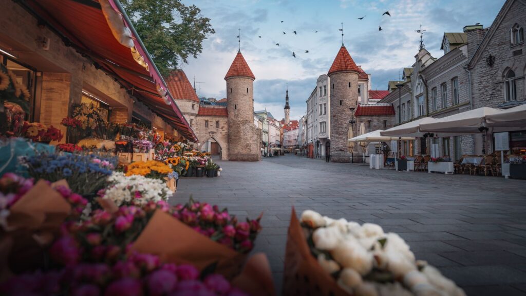 Guía para viajar a Estonia