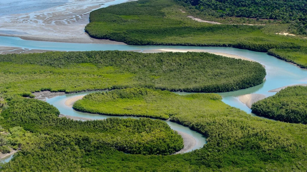 Guía para viajar a Guinea-Bissau