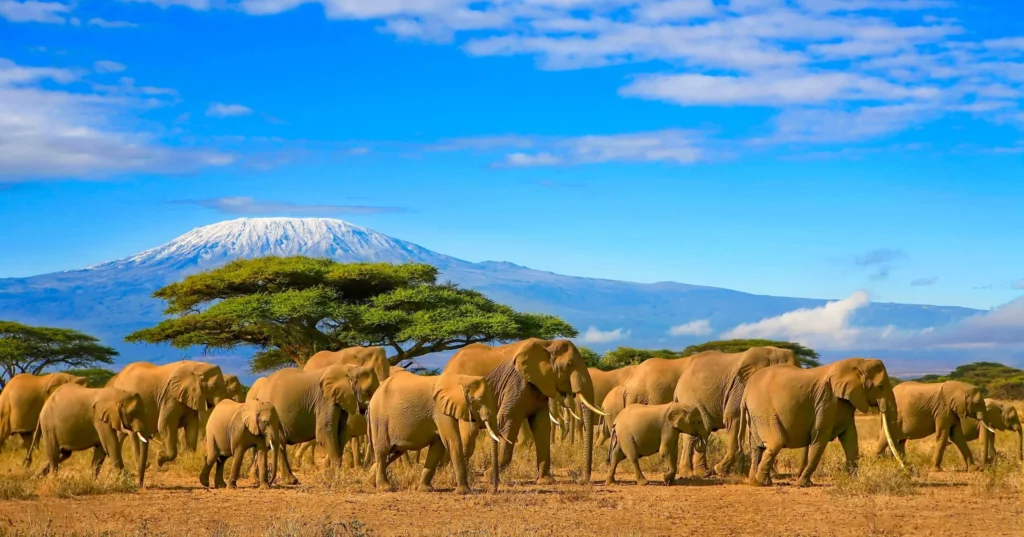 Guía para viajar a Kenia