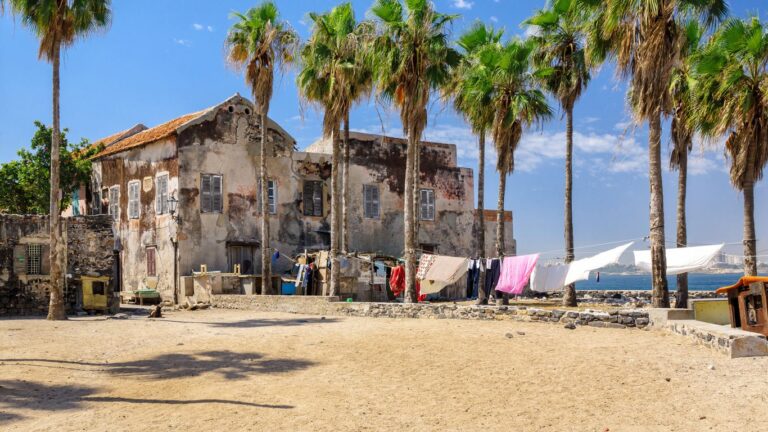 Guía para viajar a Senegal