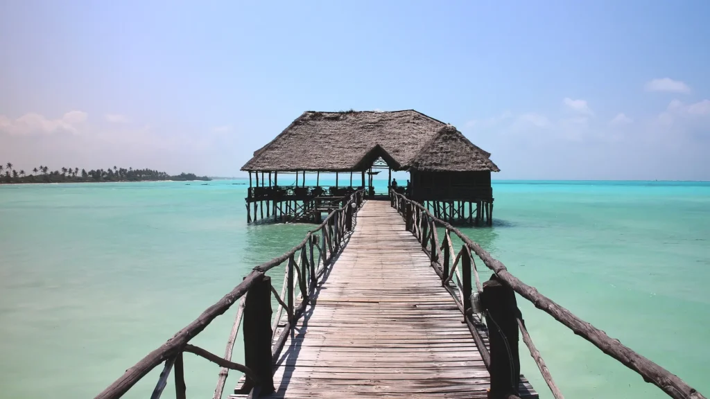 Guía para viajar a Tanzania