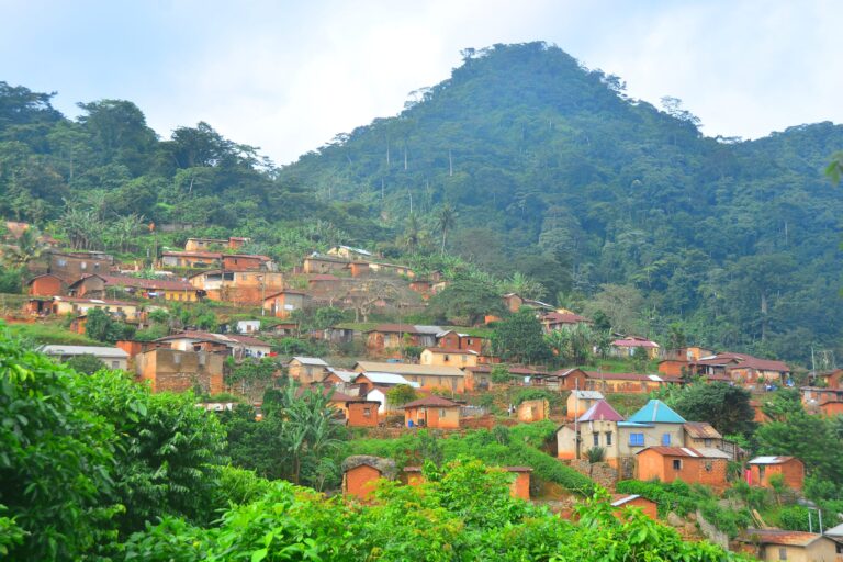 Guía para viajar a Togo