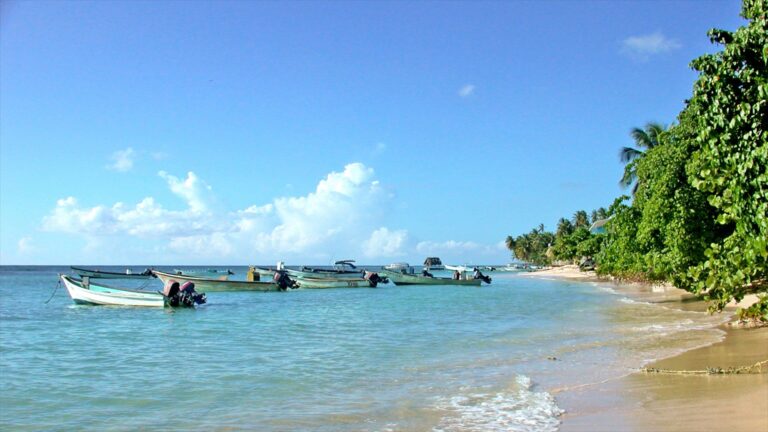Trinidad y Tobago